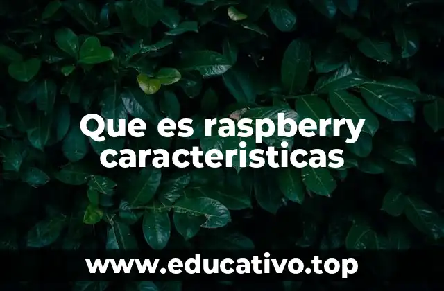 Que es raspberry caracteristicas
