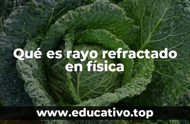 Qué es rayo refractado en física