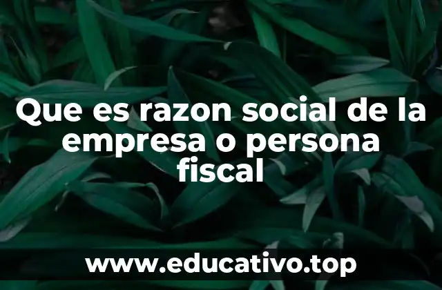 Que es razon social de la empresa o persona fiscal