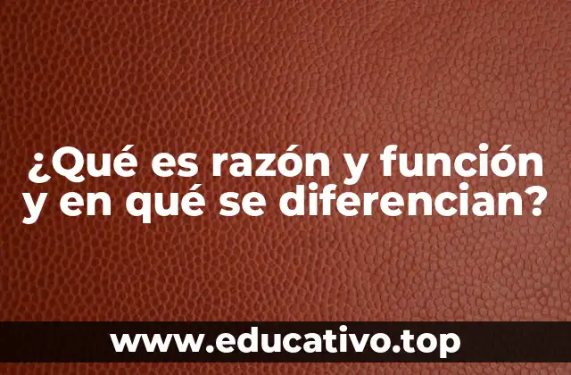 ¿Qué es razón y función y en qué se diferencian?