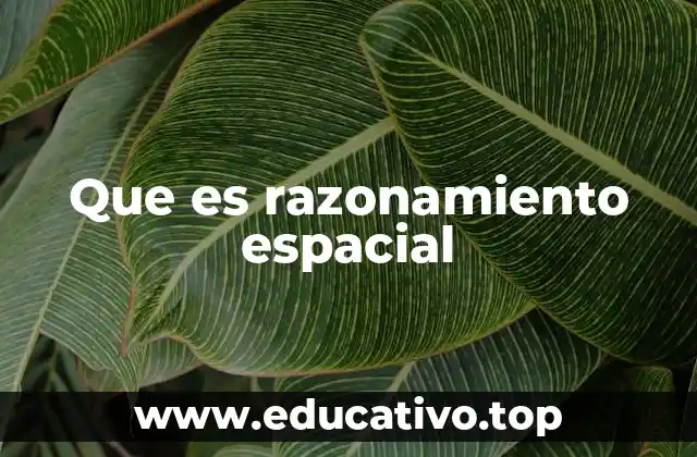Que es razonamiento espacial