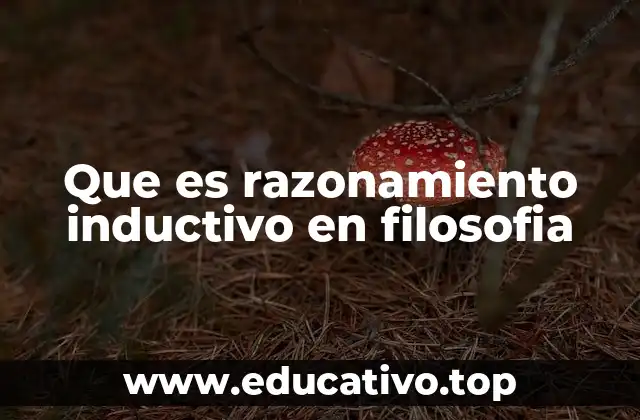 Que es razonamiento inductivo en filosofia