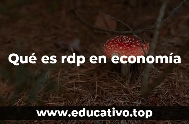 Qué es rdp en economía