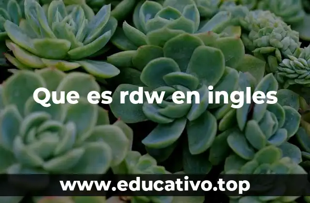 La importancia del RDW en la evaluación hematológica