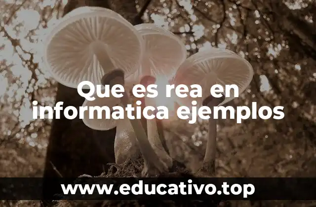 Que es rea en informatica ejemplos