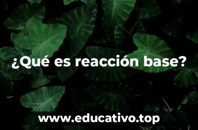 Las bases y su papel en la química moderna