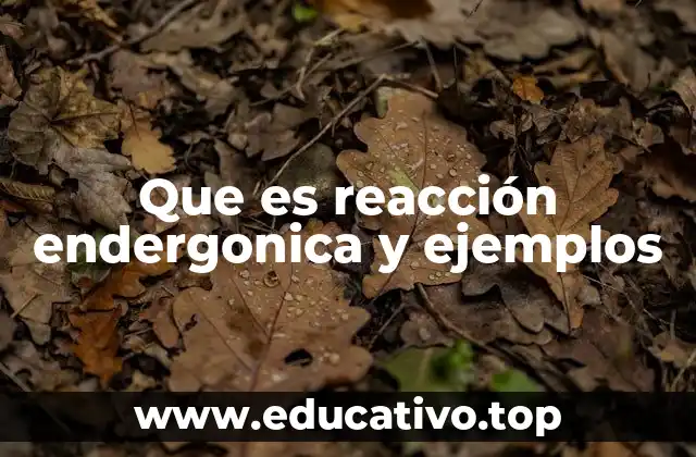 Que es reacción endergonica y ejemplos