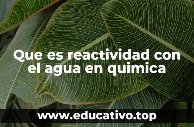 Que es reactividad con el agua en quimica