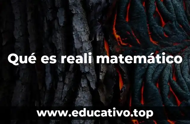 Qué es reali matemático