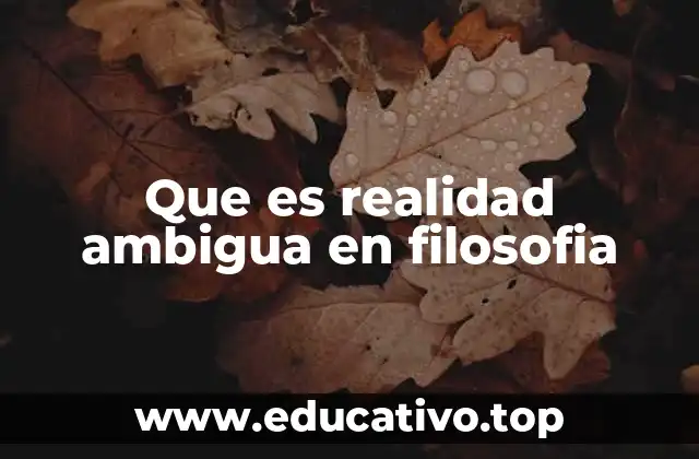 Que es realidad ambigua en filosofia