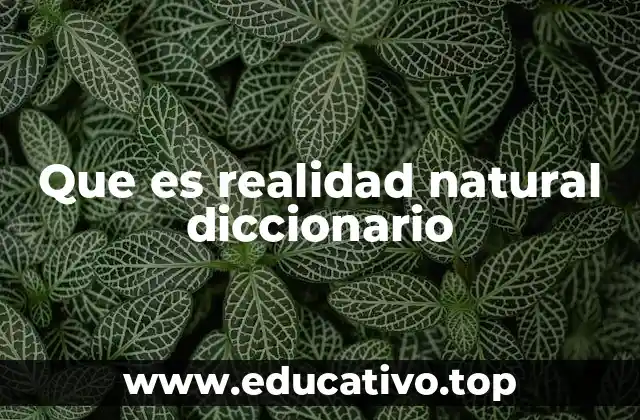 Que es realidad natural diccionario