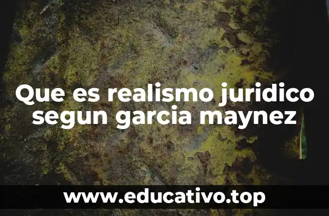 Que es realismo juridico segun garcia maynez