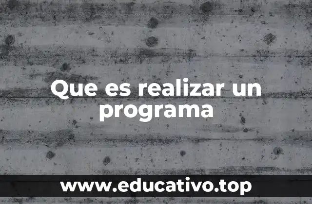 Que es realizar un programa