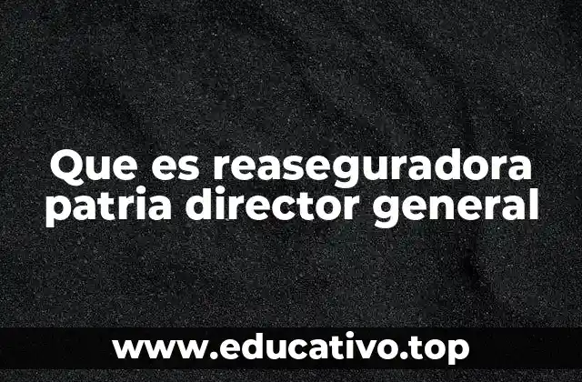 Que es reaseguradora patria director general