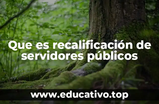 Que es recalificación de servidores públicos