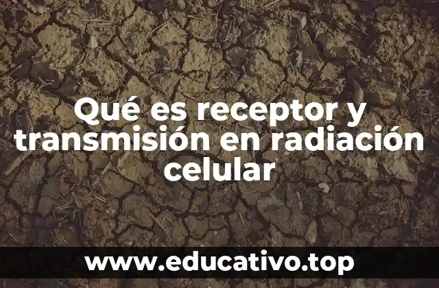 Qué es receptor y transmisión en radiación celular