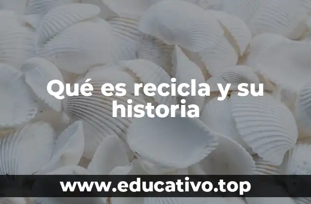 Qué es recicla y su historia