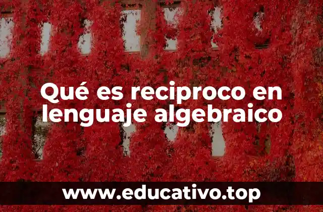 Qué es reciproco en lenguaje algebraico