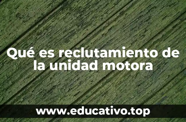 Qué es reclutamiento de la unidad motora