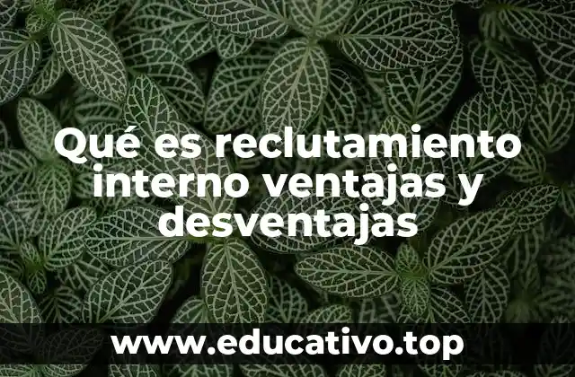 Qué es reclutamiento interno ventajas y desventajas