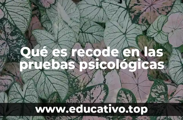 Qué es recode en las pruebas psicológicas