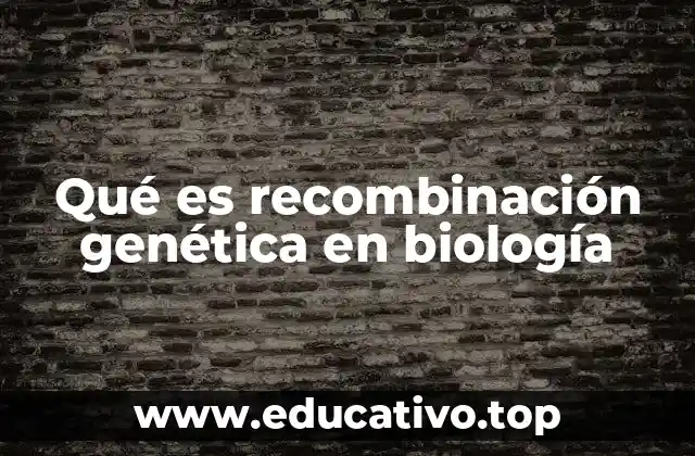 Qué es recombinación genética en biología