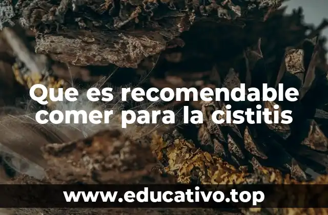 Que es recomendable comer para la cistitis