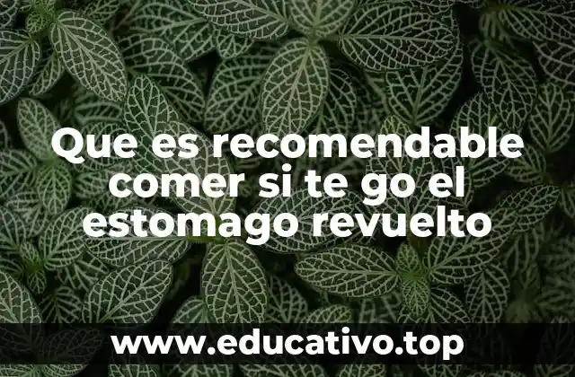 Que es recomendable comer si te go el estomago revuelto