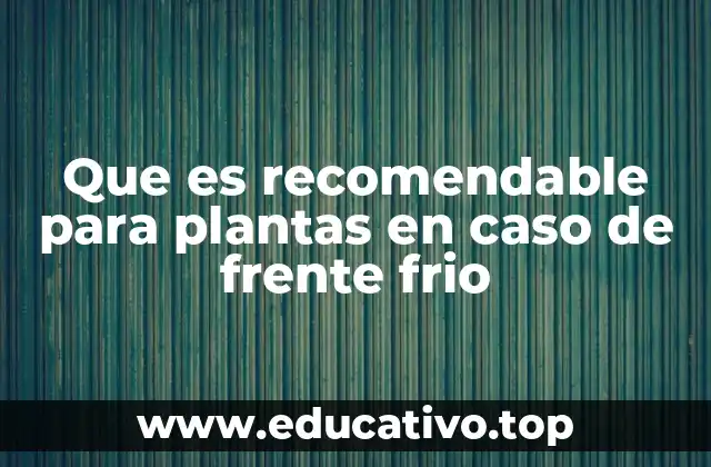 Que es recomendable para plantas en caso de frente frio
