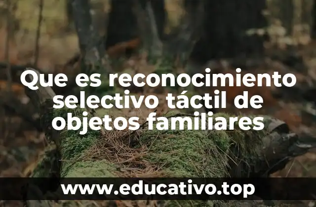 Que es reconocimiento selectivo táctil de objetos familiares