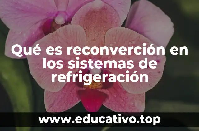 Qué es reconverción en los sistemas de refrigeración