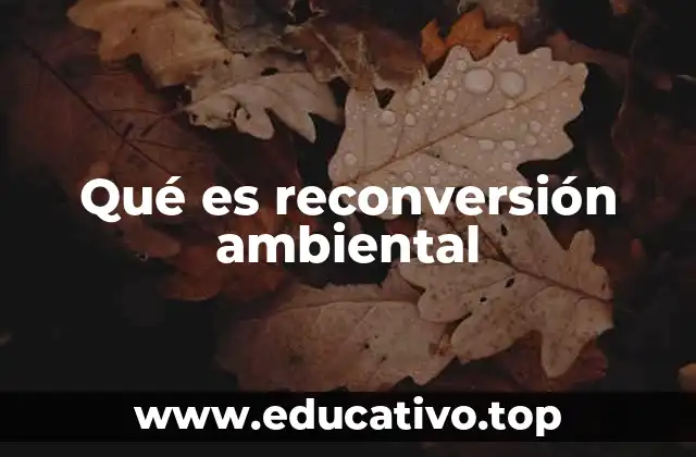 Qué es reconversión ambiental