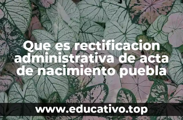 Que es rectificacion administrativa de acta de nacimiento puebla