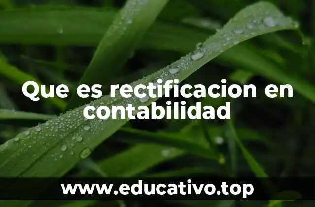 Que es rectificacion en contabilidad