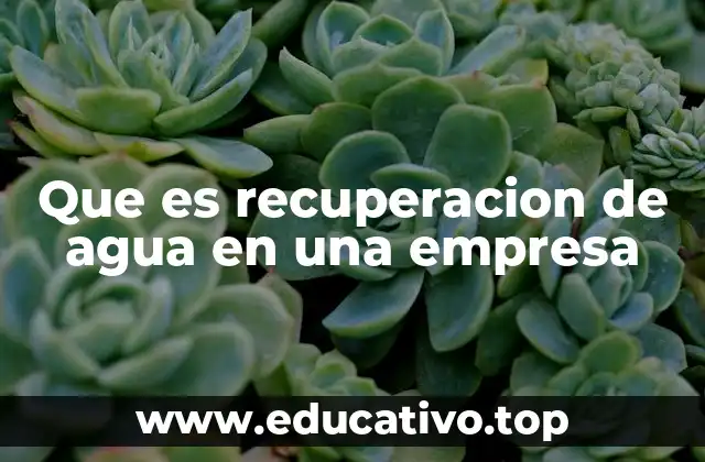 Que es recuperacion de agua en una empresa
