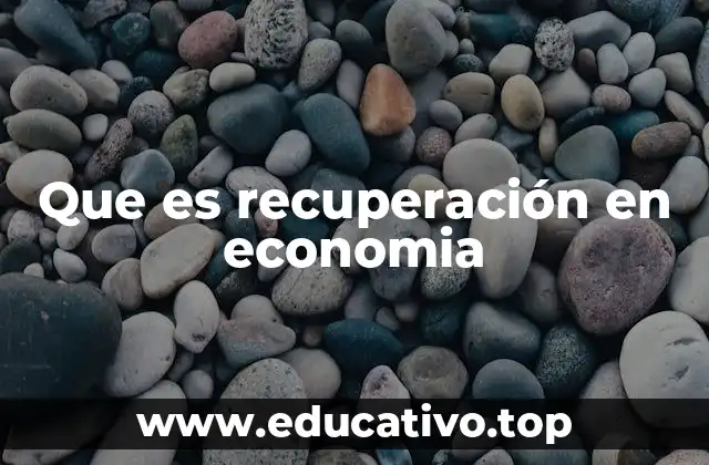 Que es recuperación en economia