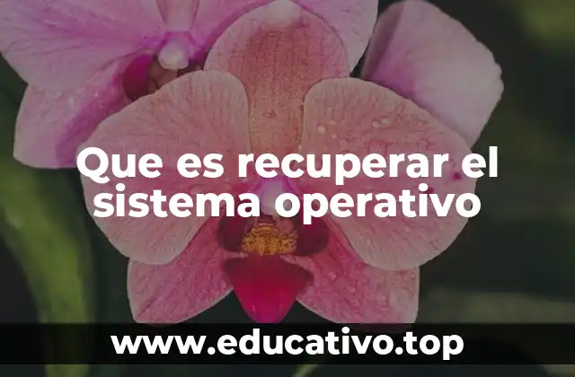 Que es recuperar el sistema operativo