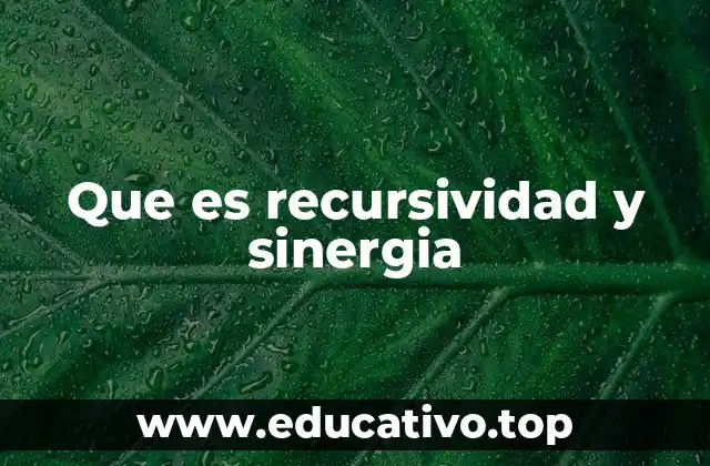 Que es recursividad y sinergia