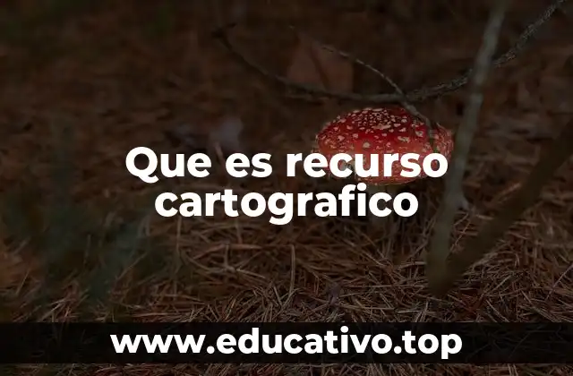 Que es recurso cartografico