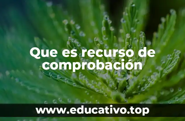Que es recurso de comprobación