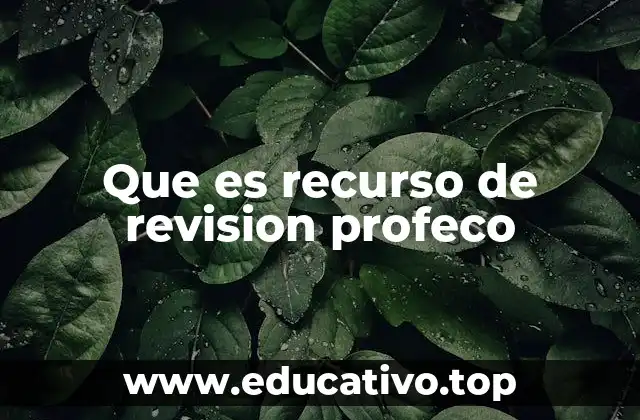 Que es recurso de revision profeco