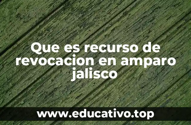 El papel del recurso de revocación en el sistema de justicia estatal