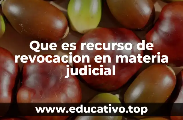 Que es recurso de revocacion en materia judicial
