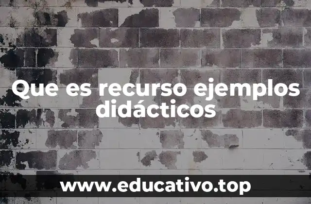 Que es recurso ejemplos didácticos