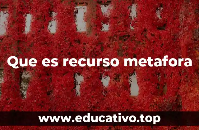 Que es recurso metafora