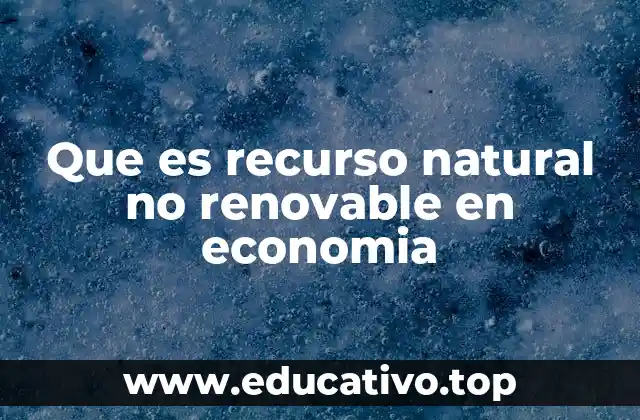 Que es recurso natural no renovable en economia