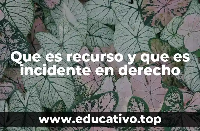 Que es recurso y que es incidente en derecho