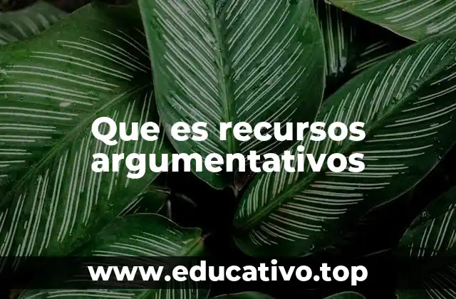 Que es recursos argumentativos