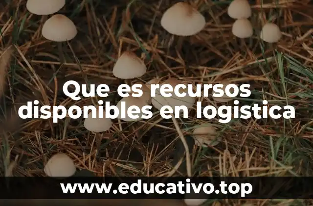 Que es recursos disponibles en logistica