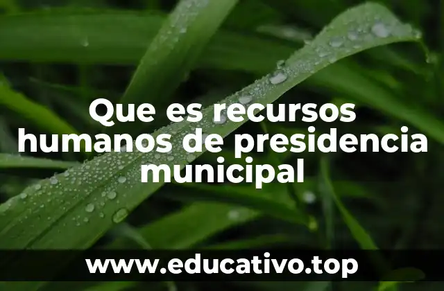 La importancia de una gestión eficiente del personal municipal